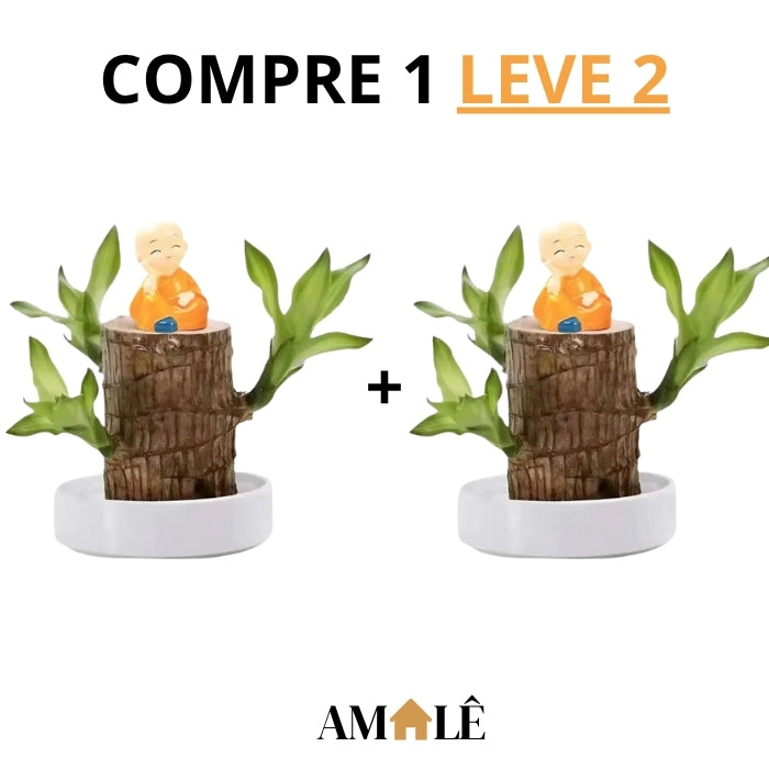 Madeira Brasil Planta da Sorte + Monge de Brinde (COMPRE 1 LEVE 2)
